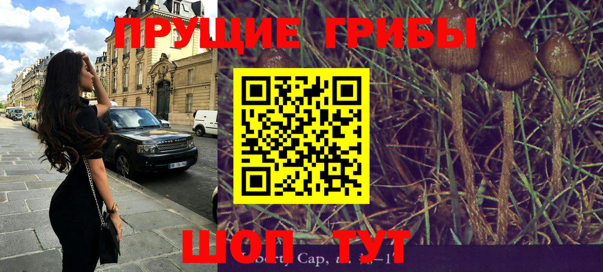 Псилоцибиновые грибы Magic Shrooms  как найти закладки  Вход с VPN  Владимир  Галлюциногенные грибы Cubensis 
